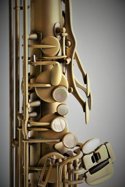 RW Pro Series Tenor Saxophone Vintage - Image 3