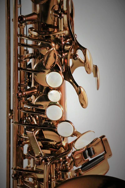 RW Pro Series Alto Saxophone American Lacquer - Image 3