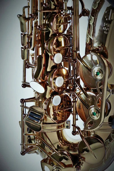 RW Pro Series Alto Saxophone American Lacquer - Image 4