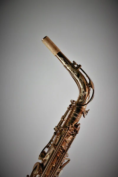 RW Pro Series Alto Saxophone American Lacquer - Image 9