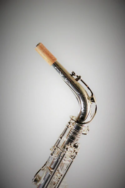 RW Pro Series Alto Saxophone Double Silver Plated - Image 7