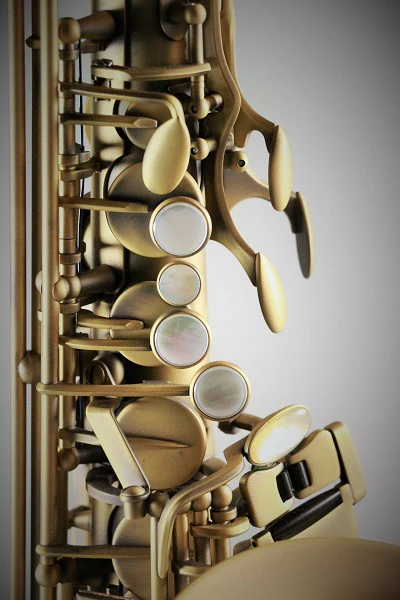 RW Pro Series Alto Saxophone Vintage - Image 3