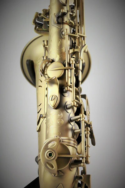 RW Pro Series Alto Saxophone Vintage - Image 6