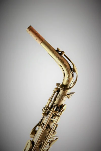 RW Pro Series Alto Saxophone Vintage - Image 7