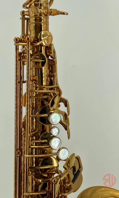 RW Pro-Series Light Alto Saxophone - Image 18
