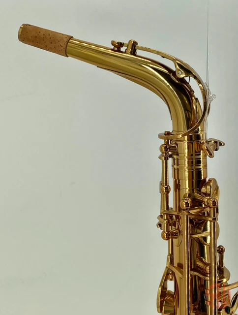 RW Pro-Series Light Alto Saxophone - Image 19