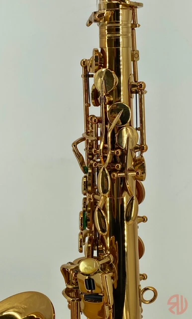RW Pro-Series Light Alto Saxophone - Image 24