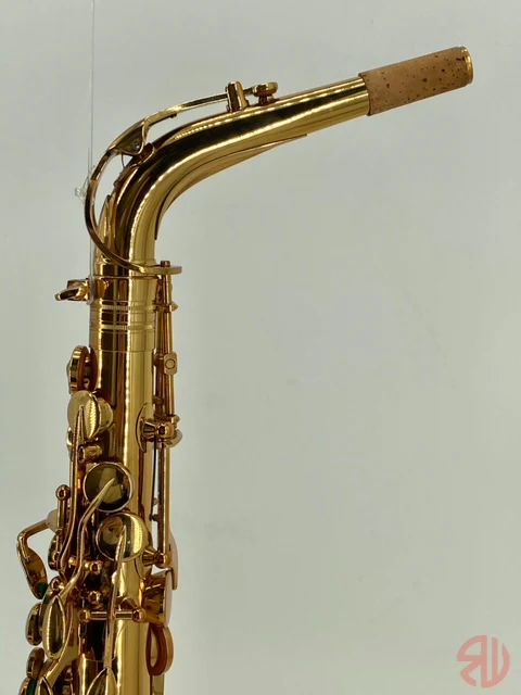 RW Pro-Series Light Alto Saxophone - Image 25